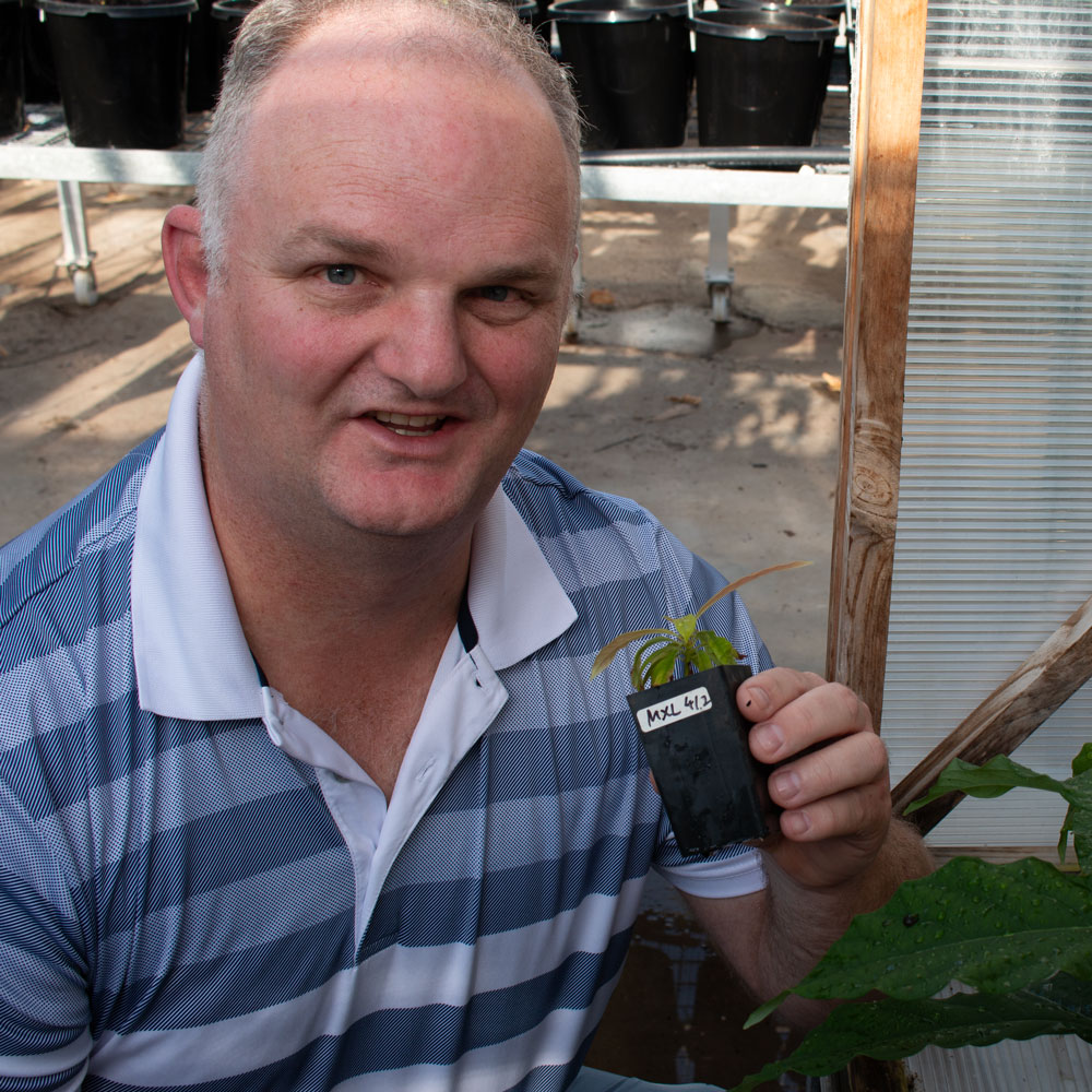 Dr Chris O'Brien with an avocado plant looking up at the camera