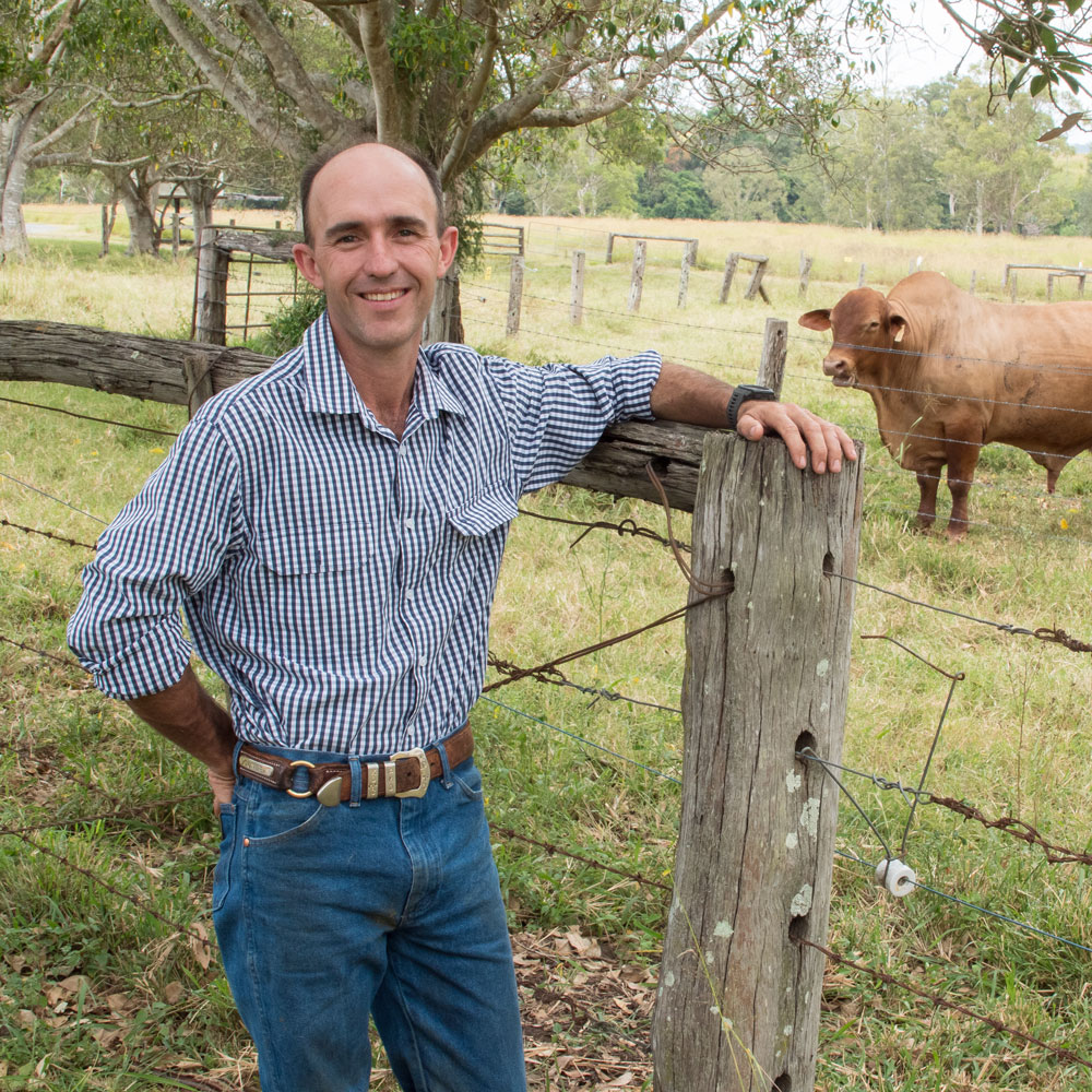 Dr Kieren McCosker leaning against a fence post with a bull in the paddock beside him