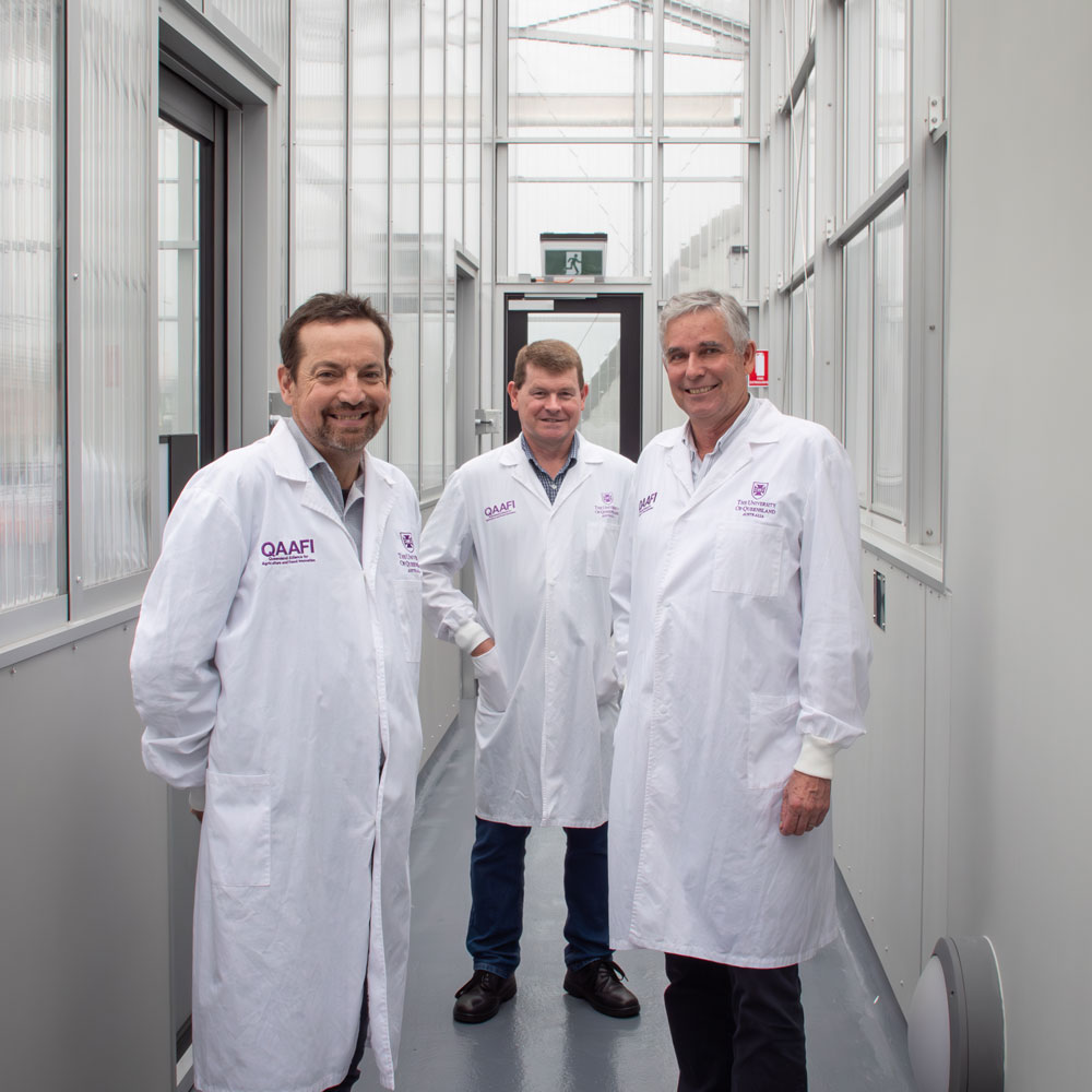 Profs Ben Hayes, Timothy Mahony and Ian Godwin in UQ's Plant Futures Facility