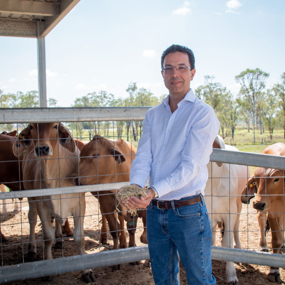 Associate Professor Luis Prada e Silva standing in front of a feed lot with a handful of feed
