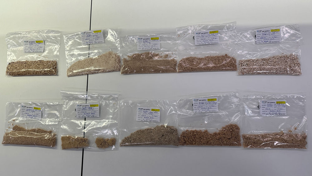 Breadfruit genotype samples brought to UQ by USP.