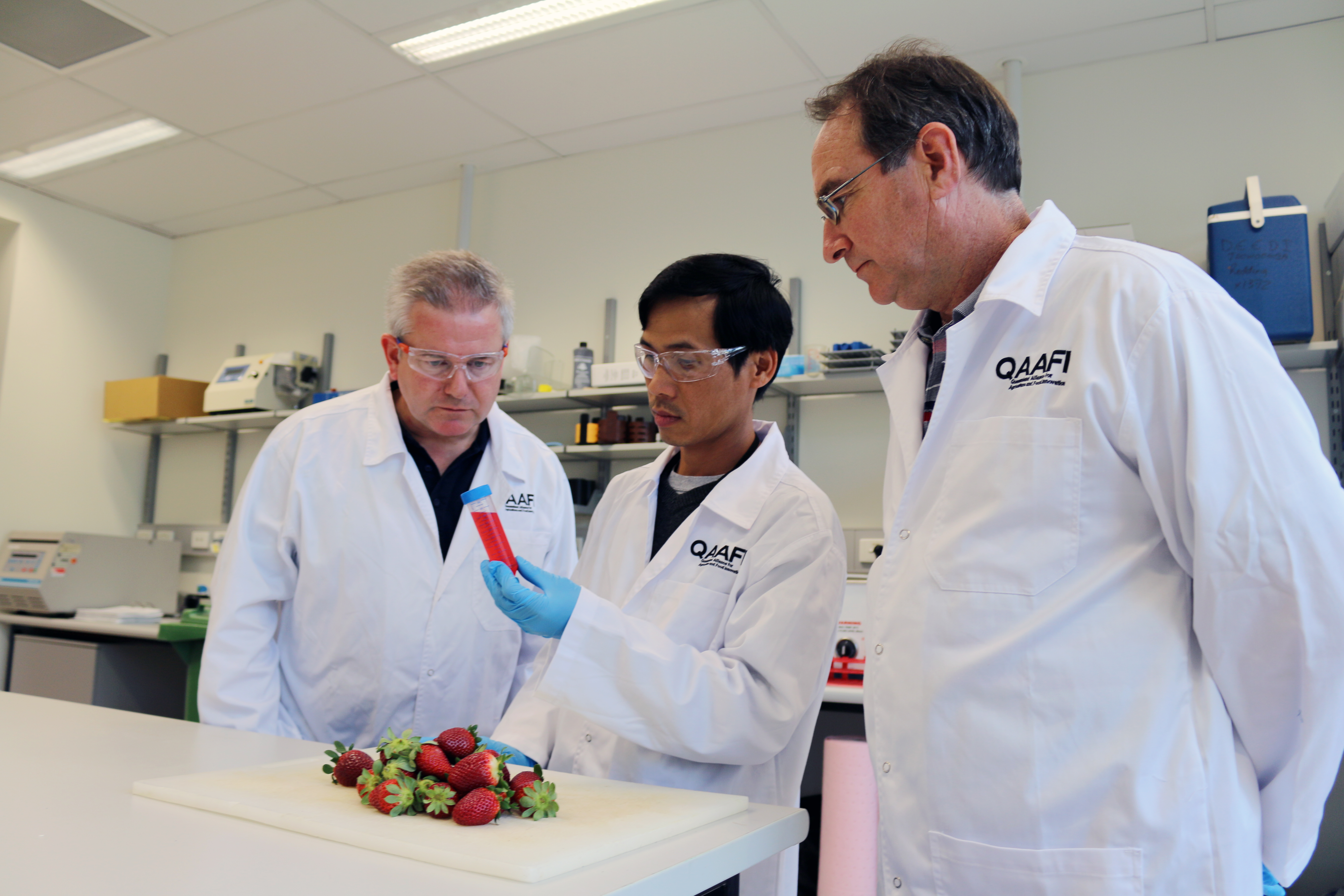 New supercharged strawberry a sweet find - Queensland Alliance for ...