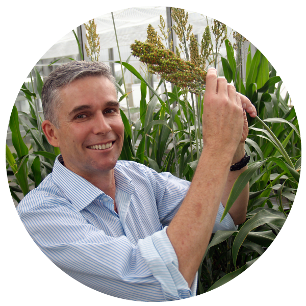 Centre for Crop Science - Queensland Alliance for Agriculture and Food ...