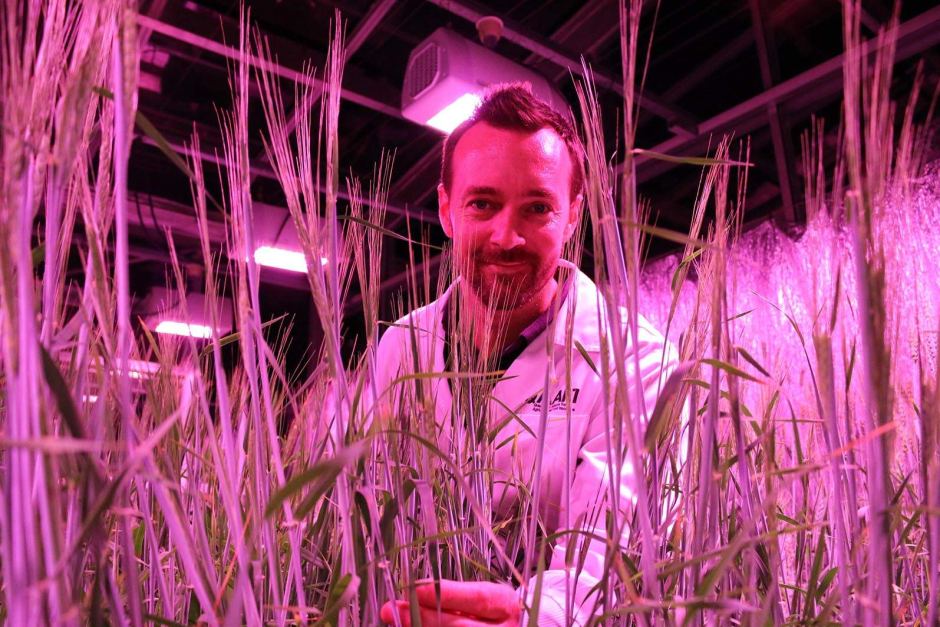 Lee Hickey in a red-lit glasshouse 