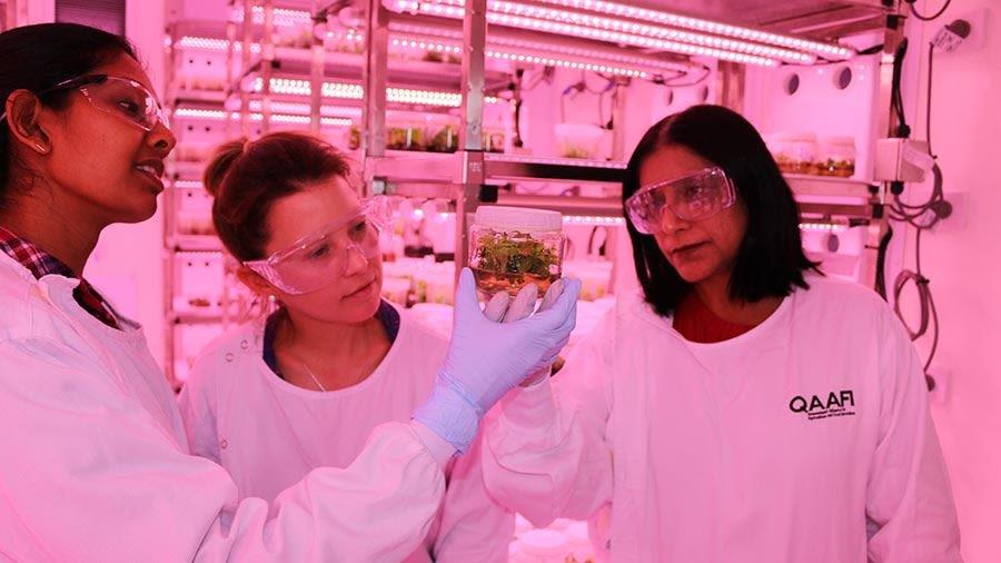  agricultural engineer spraying fertilizer while working in plant nursery greenhouse lit by blue light, 