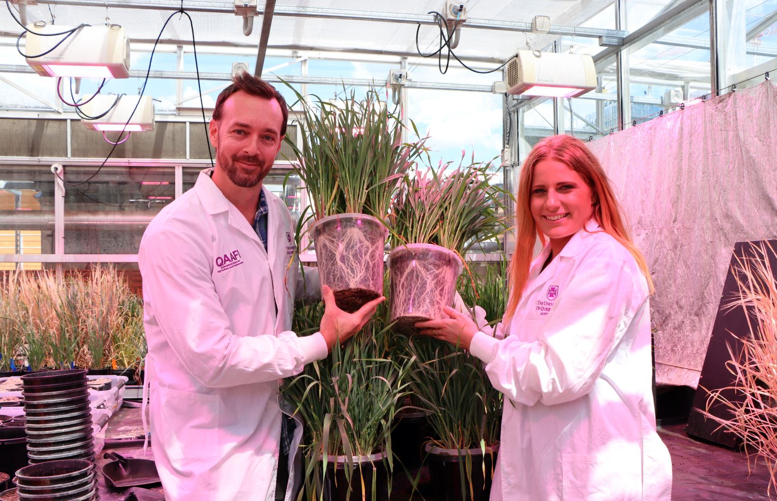 The University of Queensland associate professor and principal research fellow Lee Hickey and InterGrain barley breeder Hannah Robinson.