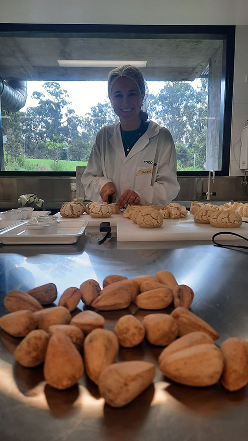 Bunya nut preparation in the sensory laboratory at Long Pocket 