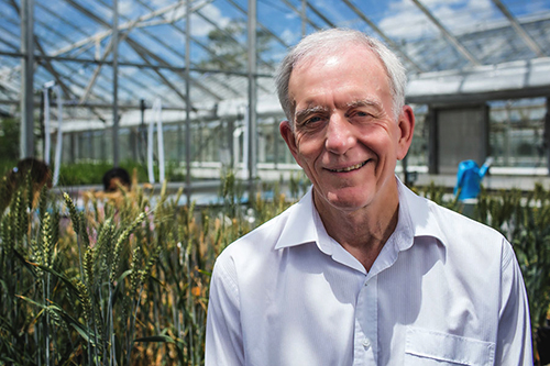 Prof Robert Henry in a glasshouse
