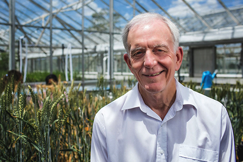 Headshot of Prof Robert Henry in a glasshouse