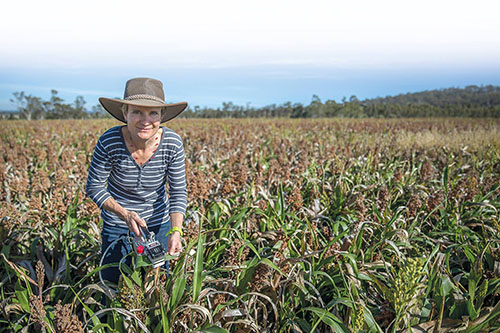 Dr Barbara George-Jaeggli in a field of sorghum