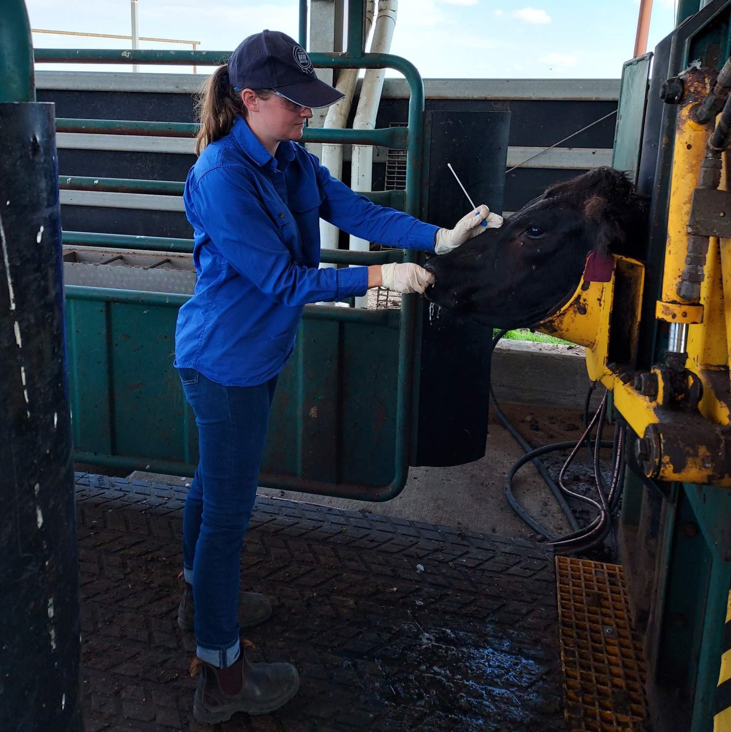 Tatiana Briody working in the field 