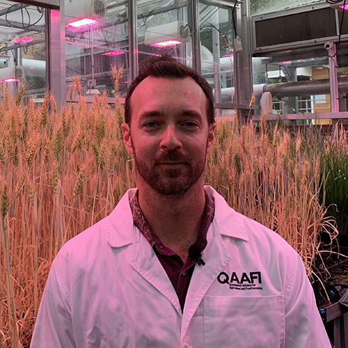 Associate Professor Lee Hickey in a greenhouse with a wheat crop behind him