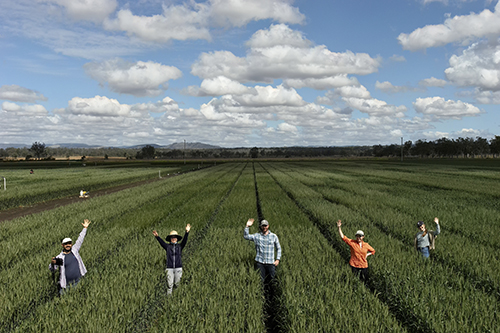 A/Prof Lee Hickey and team in the field 