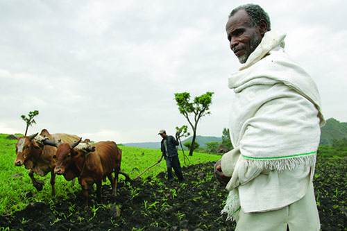 Farmer with man ploughing field in the background. Image IRLI