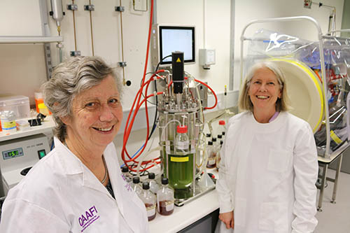 Professor Mary Fletcher and DAF's Diane Ouwerkerk in the DAF laboratory with a fermenter