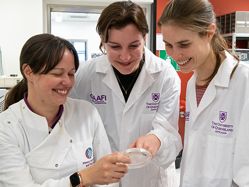 A trio of scientists in the laboratory 