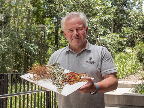 Dr Michael Netzel holding three types of halophytes on a white plate