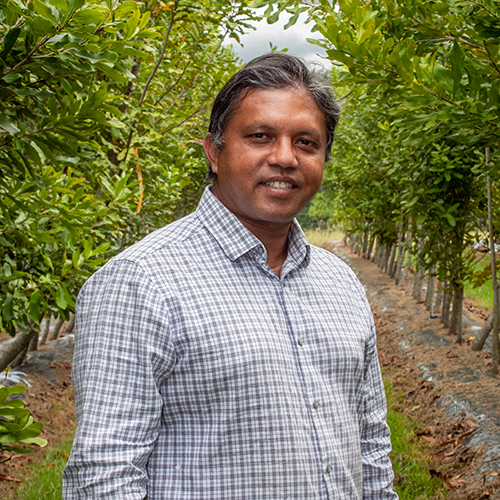 Headshot of Dr Mobashwer Alam in a macadamia orchard 