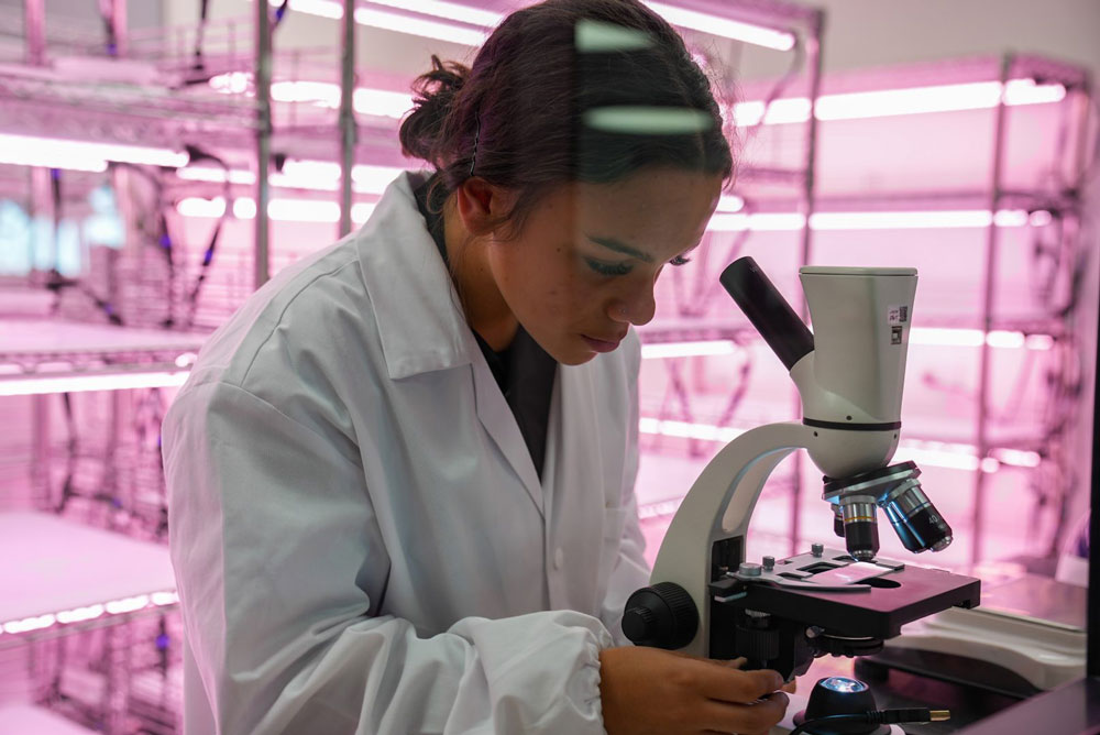 Southern Cross Grammar student bent over scientific equipment in pink-coloured laboratory 