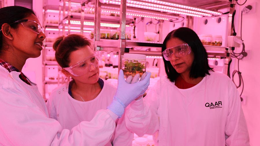 three women looking at a plant sample in a beaker in a lab lit with pink lights 