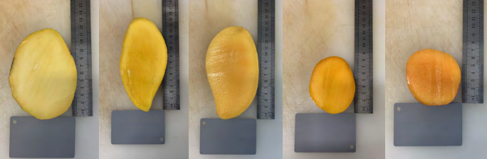 Various cuts of mango in varying size and colour 