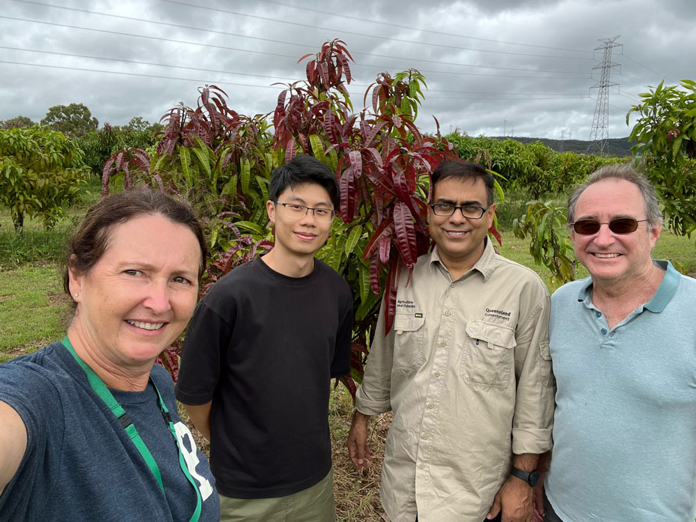 Dr Natalie Dillon (DAF), Tatsu Takagi (PhD student, QAAFI), Dr Asjad Ali (DAF), Assoc. Prof. Tim O’Hare (QAAFI) at the Walkamin Research Facility Mango Germplasm collection, Atherton Tableland, Far North Queensland.