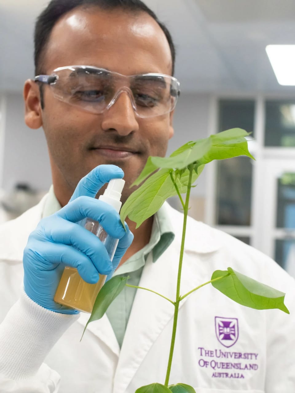 Dr Ritesh Jain spraying a plant in a lab setting