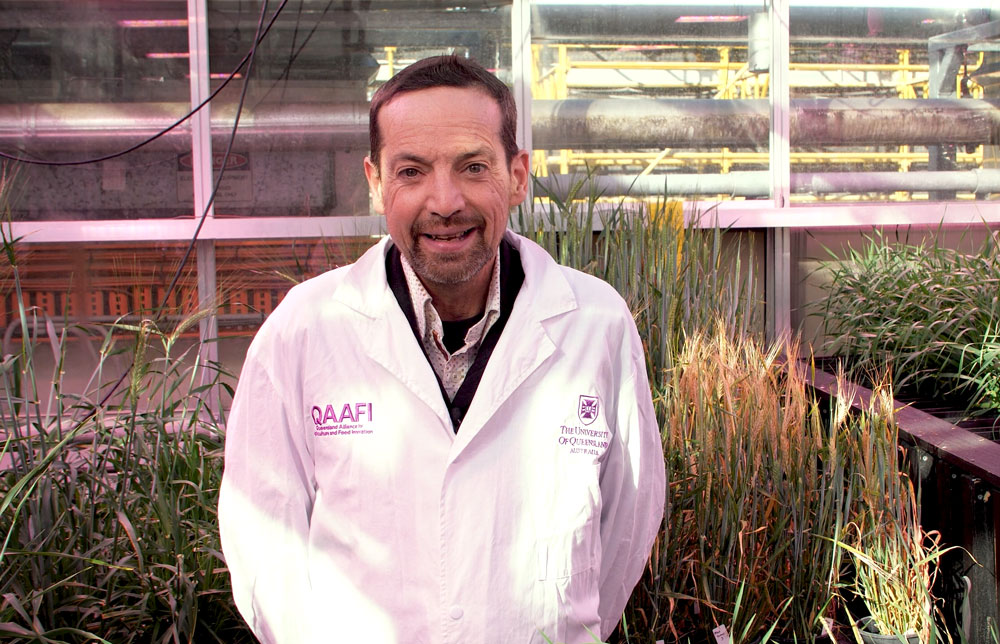 Prof Ben Hayes in a glasshouse with crops 