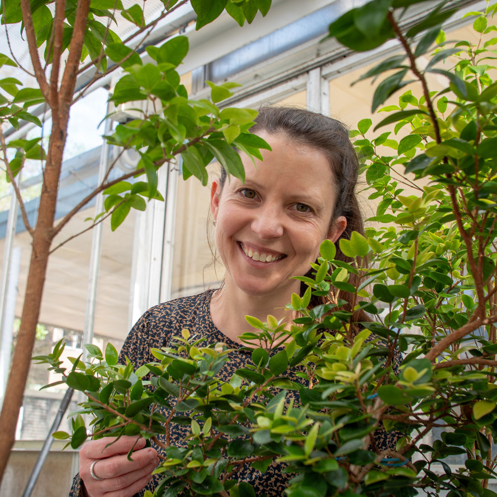 Dr Alice Hayward behind a plant in the greenhouse