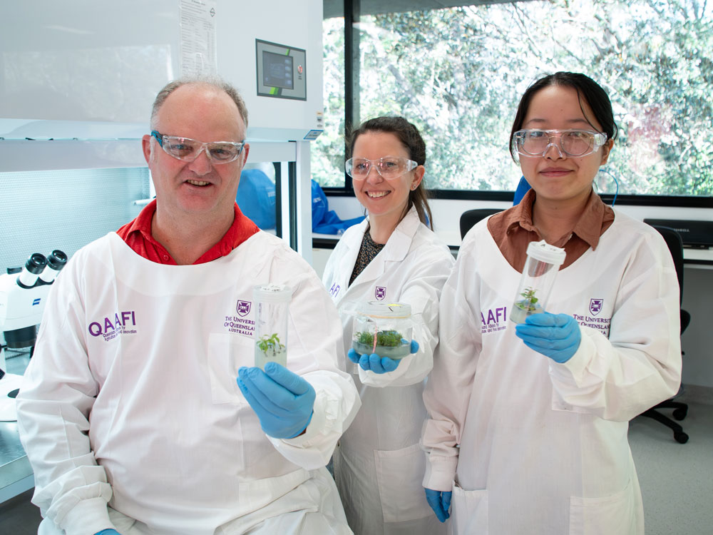 Three scientists in the laboratory holding up plant samples enclosed in glass 