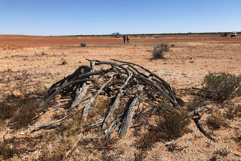 Remains of a gunyah on Country. Courtesy Michael Westaway