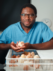 Professor Appolinaire Djikeng Professor Appolinaire Djikeng