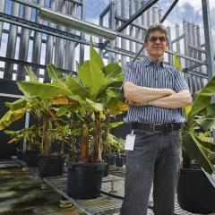 Dr. John Thomas in glasshouse