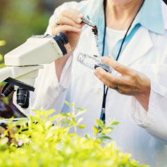Safeguarding our future  food supply