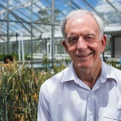 robert-henry-in-glasshouse