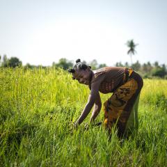 Understanding household diversity in rural eastern and southern Africa