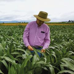 UQ and QAAFI deliver return on investment
