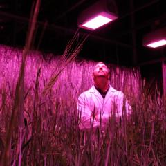 Associate Professor Lee Hickey 