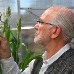 Prof Graeme Hammer