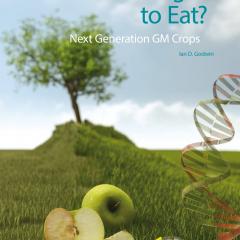 Scientists urged to fight GMO fake news