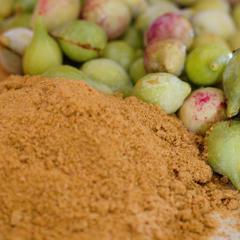 Research update: Kakadu plum value chain project