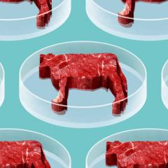 Australia’s livestock producers turning data into dollars