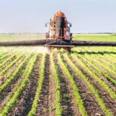 Residue blankets curb pre-emergents