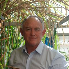 Professor Frederik (Frikkie) Botha