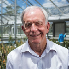 Lead researcher UQ’s Professor Robert Henry