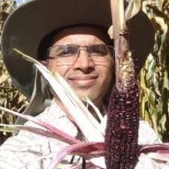 Mr Apurba Ray