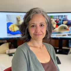 Project leader Dr Marta Navarro-Gomez, University of Queensland.