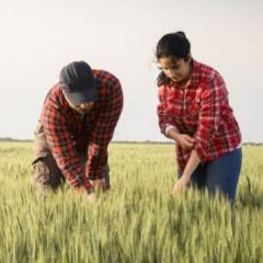 Advances in Agriculture and Food Production