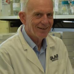 Professor Robert Henry, pictured in his lab at UQ, says world-leading technology will emerge from Queensland in coming years. (Photo: Brad Cooper).