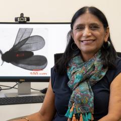 Prof Neena Mitter